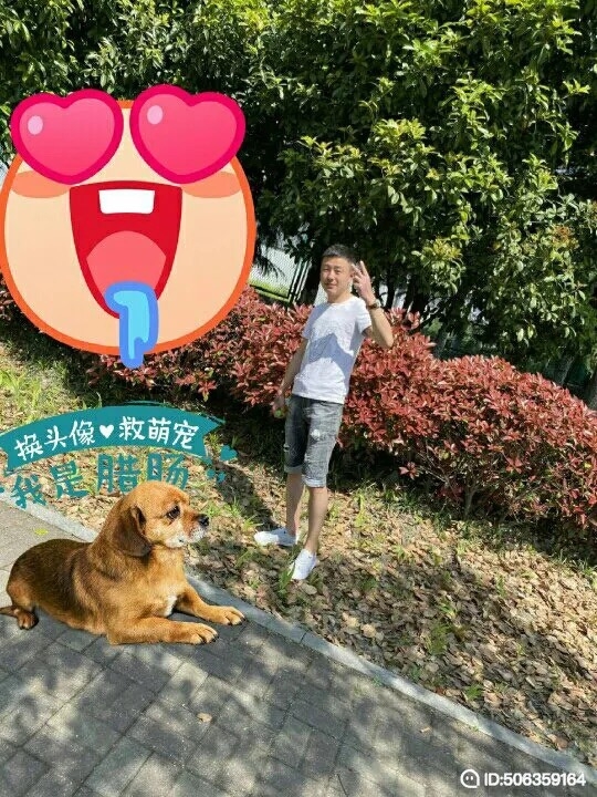 我若不坚强谁替我勇敢的第五张照片--合肥残疾人相亲网
